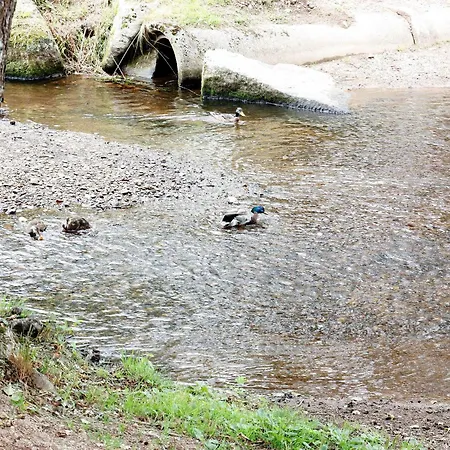 Seeblick Appartement *